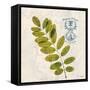 Jade Forest Leaf 4-Morgan Yamada-Framed Stretched Canvas