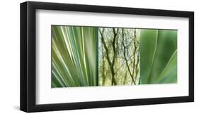 Jade Gardens-Sidney Aver-Framed Art Print