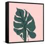 Jade Green Plant-Christine Niya-Framed Stretched Canvas