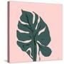 Jade Green Plant-Christine Niya-Stretched Canvas