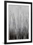 Gramercy Black