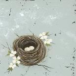 Flower Nest II-Jade Reynolds-Art Print