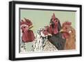 Black Frame