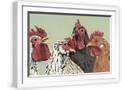 White Frame