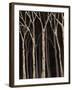 Chelsea Forest Gray