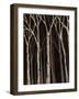 Chelsea Forest Gray