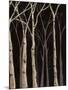 Wood Mount