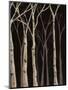 Wood Mount