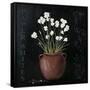 Canvas Black