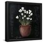 Essential Black