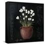 Canvas Black
