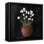 Canvas Black