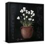 Canvas Black