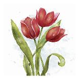 Red Tulip Splash II-Jade Reynolds-Art Print