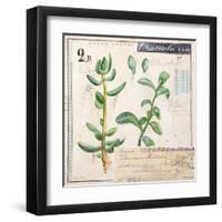 Jade…Sketchbook-Angela Staehling-Framed Art Print