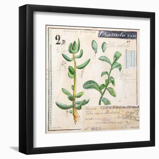 Jade…Sketchbook-Angela Staehling-Framed Art Print