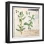 Jade…Sketchbook-Angela Staehling-Framed Art Print