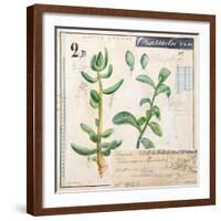 Jade…Sketchbook-Angela Staehling-Framed Art Print