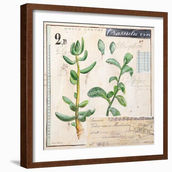 Jade…Sketchbook-Angela Staehling-Framed Art Print