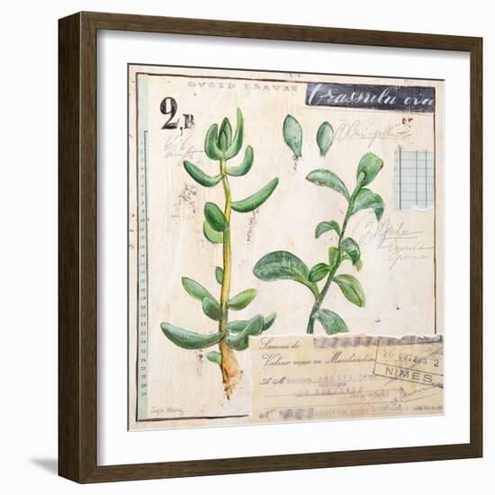 Jade…Sketchbook-Angela Staehling-Framed Art Print