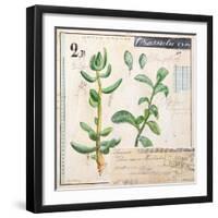 Jade…Sketchbook-Angela Staehling-Framed Art Print