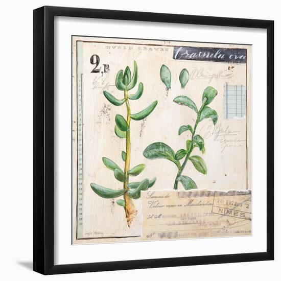 Jade…Sketchbook-Angela Staehling-Framed Art Print