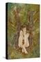 Jade - the Thoughtful Fairy-Linda Ravenscroft-Stretched Canvas