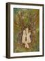 Jade - the Thoughtful Fairy-Linda Ravenscroft-Framed Giclee Print