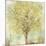 Jade Tree-Allison Pearce-Mounted Premium Giclee Print