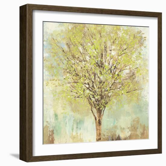 Jade Tree-Allison Pearce-Framed Art Print