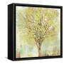 Jade Tree-Allison Pearce-Framed Stretched Canvas