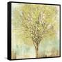 Jade Tree-Allison Pearce-Framed Stretched Canvas