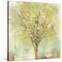 Jade Tree-Allison Pearce-Stretched Canvas