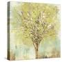 Jade Tree-Allison Pearce-Stretched Canvas