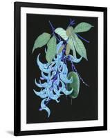 Jade Vine II-Melissa Wang-Framed Art Print