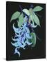 Jade Vine II-Melissa Wang-Stretched Canvas