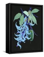 Jade Vine II-Melissa Wang-Framed Stretched Canvas