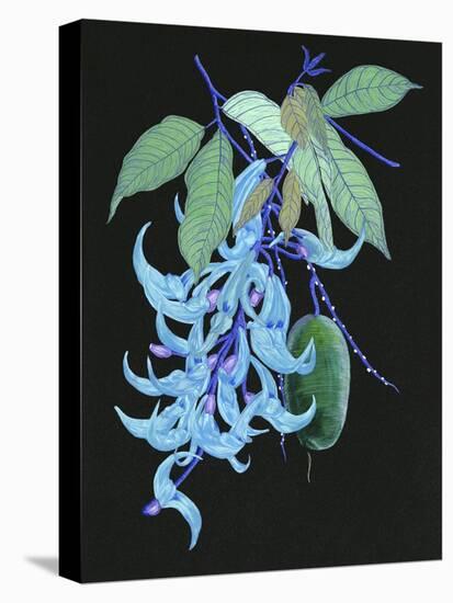 Jade Vine II-Melissa Wang-Stretched Canvas