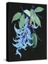 Jade Vine II-Melissa Wang-Stretched Canvas