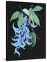 Jade Vine II-Melissa Wang-Stretched Canvas