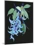 Jade Vine II-Melissa Wang-Mounted Art Print