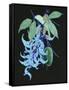 Jade Vine II-Melissa Wang-Framed Stretched Canvas