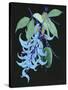 Jade Vine II-Melissa Wang-Stretched Canvas