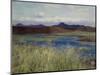 Jaer landscape Landscape from Jaeren-Sven Jorgensen-Mounted Giclee Print