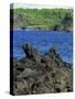 Jagged Black Lava Shore on Keanae Peninsula, Hana Coast Road, Maui, Hawaii, Hawaiian Islands, USA-Robert Francis-Stretched Canvas