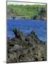 Jagged Black Lava Shore on Keanae Peninsula, Hana Coast Road, Maui, Hawaii, Hawaiian Islands, USA-Robert Francis-Mounted Photographic Print