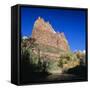 Jagged Sandstone Cliffs Above the Virgin River, Zion National Park, Utah, USA-Ruth Tomlinson-Framed Stretched Canvas