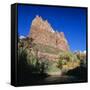 Jagged Sandstone Cliffs Above the Virgin River, Zion National Park, Utah, USA-Ruth Tomlinson-Framed Stretched Canvas