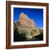 Jagged Sandstone Cliffs Above the Virgin River, Zion National Park, Utah, USA-Ruth Tomlinson-Framed Photographic Print