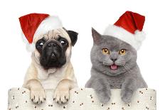 Dog And Cat In Red Christmas Hat-Jagodka-Laminated Photographic Print